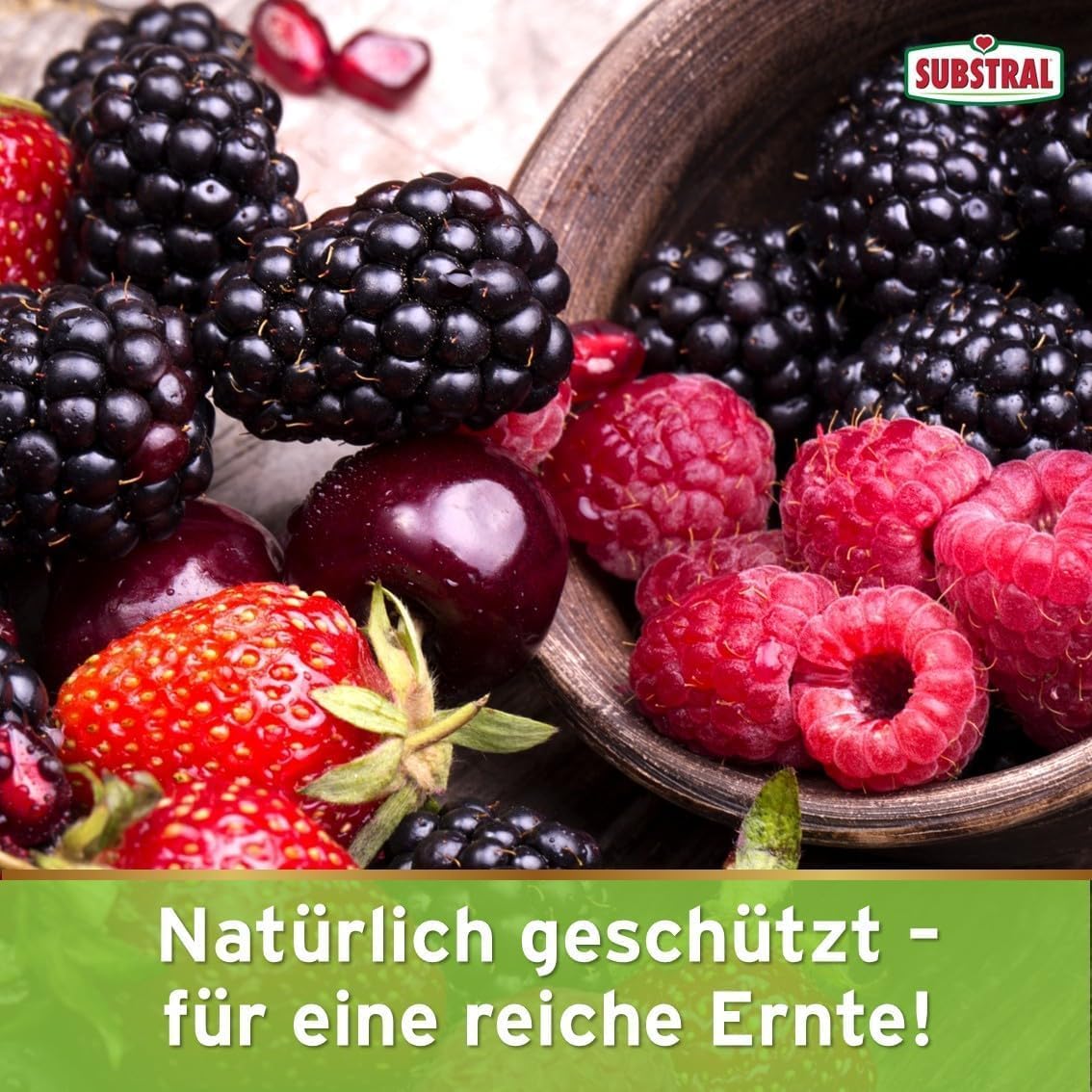 Substral Naturen Bio Schnecken-Sperre, 2,3 kg - Regenbeständige Barriere aus Lavagranulat zur Abwehr von Schnecken — Ansicht 6