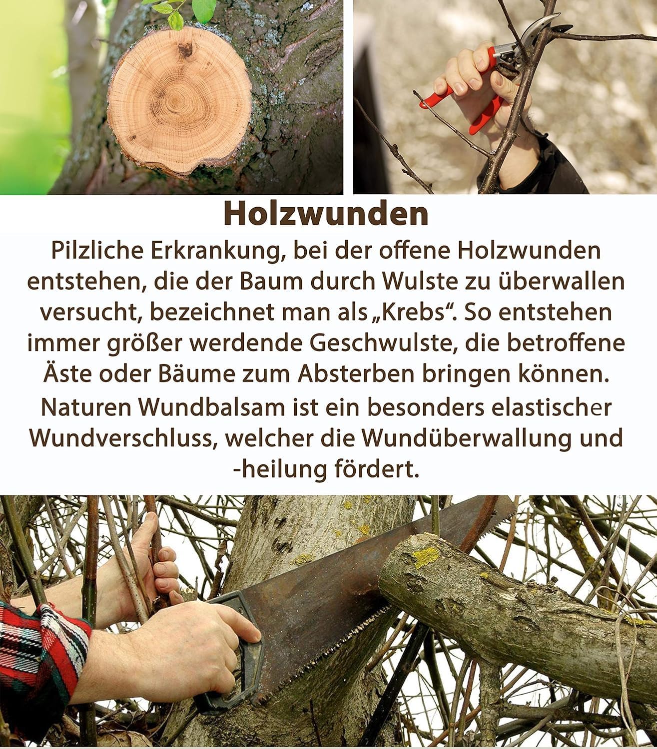 Substral Naturen Bio Wundbalsam 350g Wundverschlussmittel das elastische Baumpflaster nach dem Baumschnitt — Ansicht 2