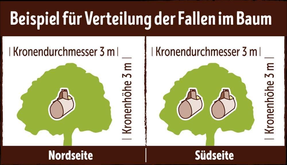Substral Naturen Kirschfruchtfliegen - Falle insektizidfrei Leimfalle inkl. Lockstoff 3 Fallen — Ansicht 5