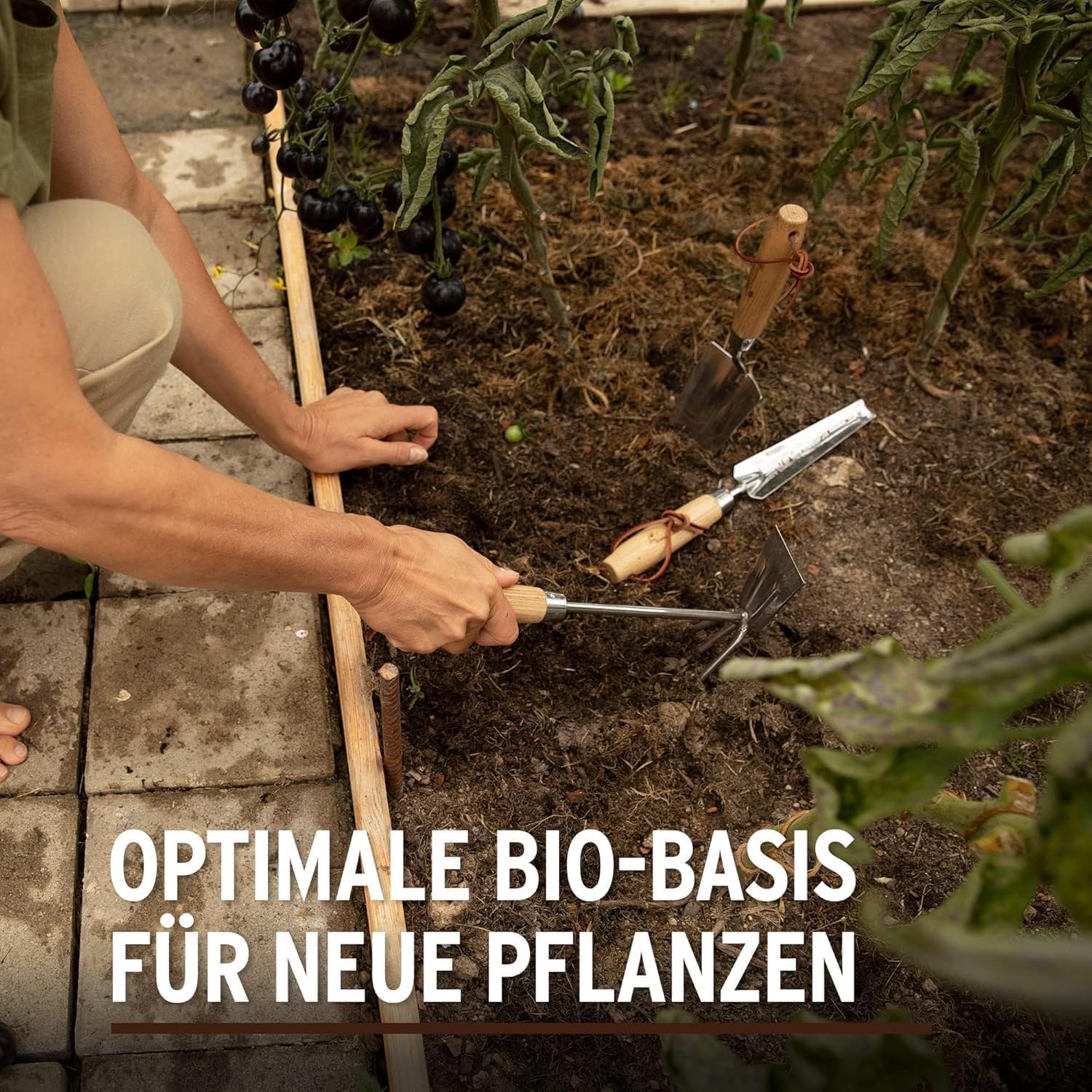 Substral Naturen Pflanzerde Bio & torffrei 40L für Stauden Sträucher und Hecken 3 Monate vorgedüngt — Ansicht 3