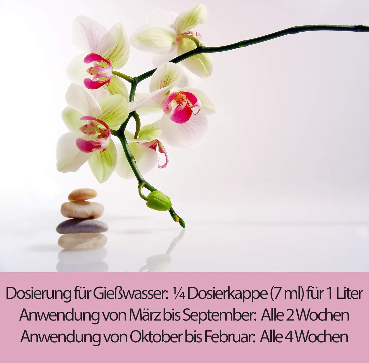 Substral Orchideen Nahrung 250ml, Flüssige Spezialnahrung für alle Orchideenarten mit natürlichen Biostimulanzien — Ansicht 3