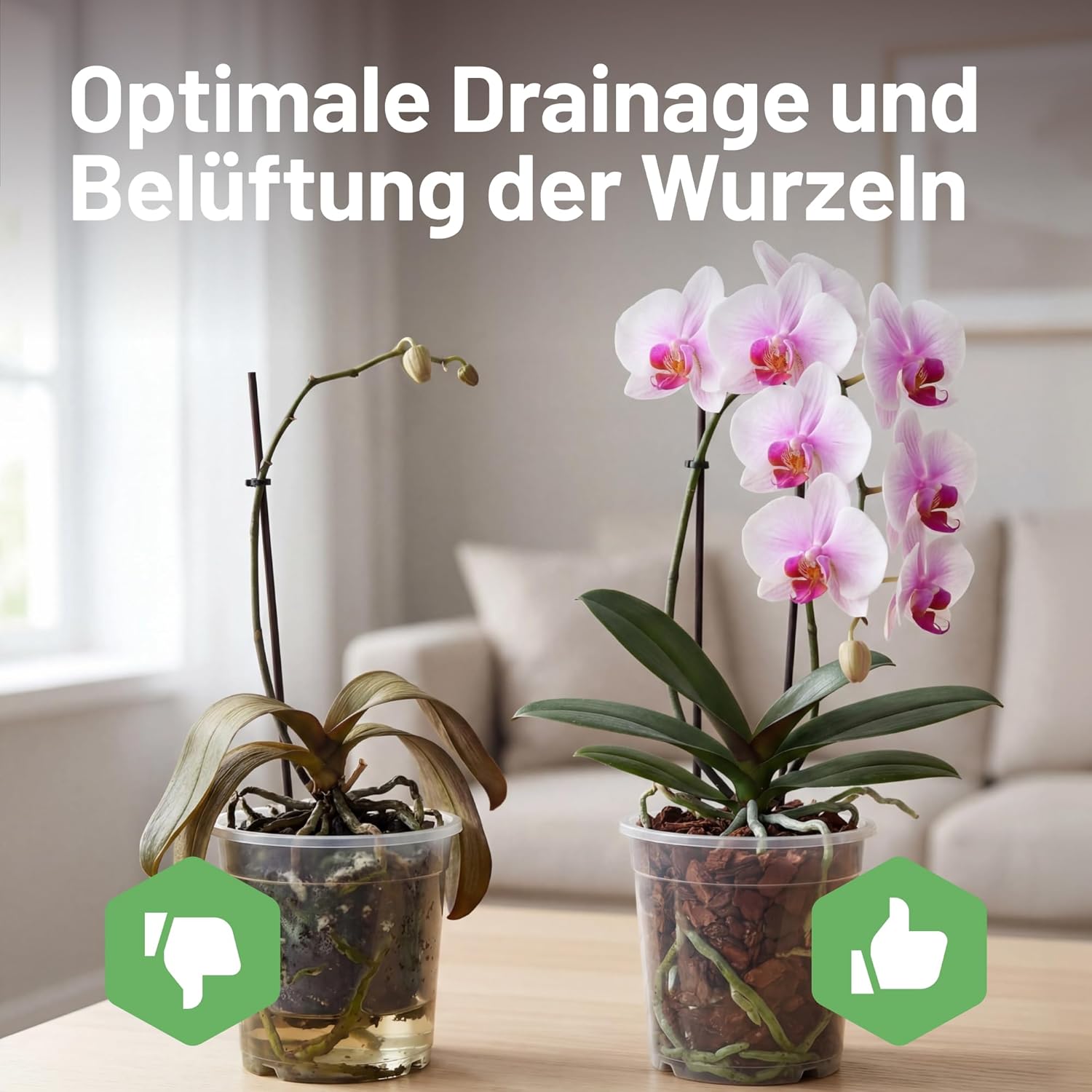 Substral Orchideenerde 6L mit Pinienrinde für Orchideen lockere Struktur — Ansicht 4