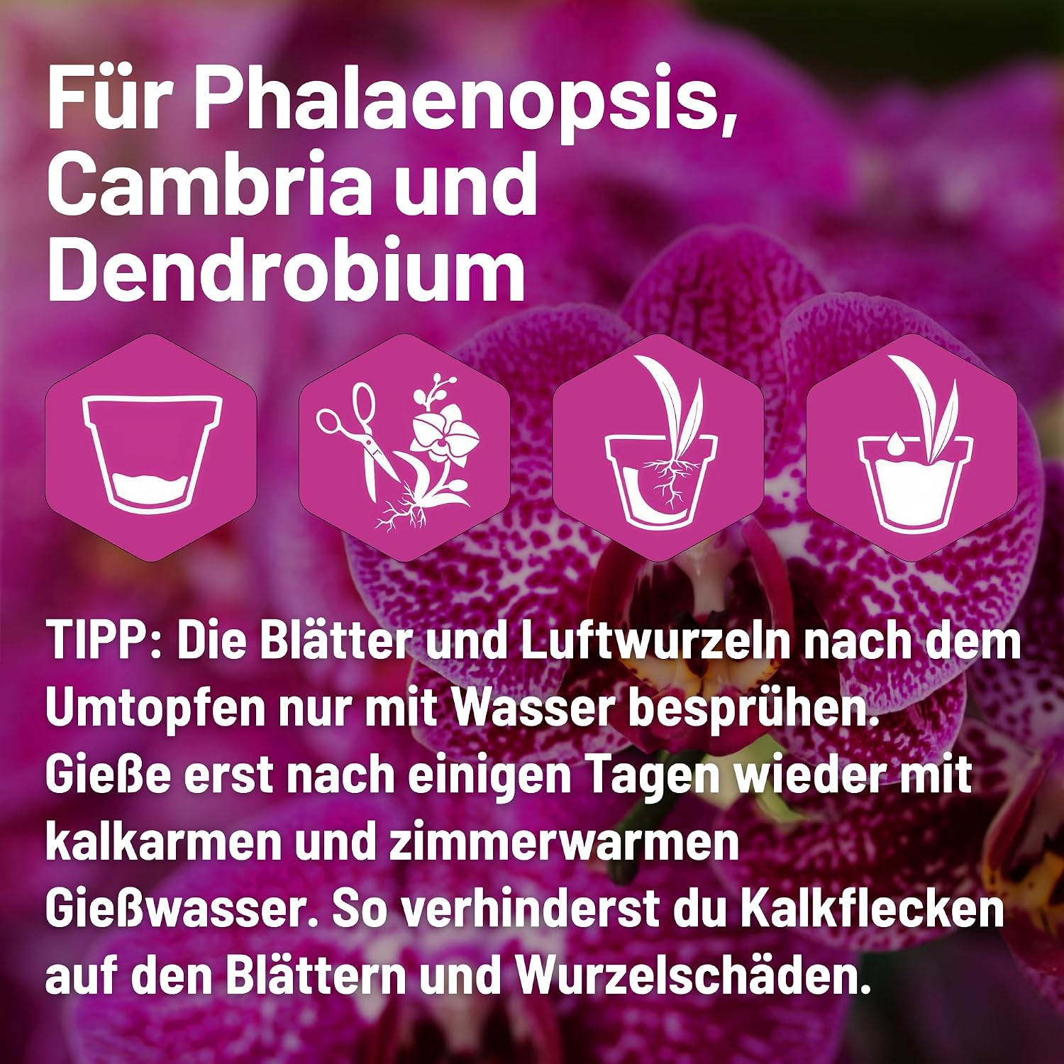 Substral Orchideenerde 6L mit Pinienrinde für Orchideen lockere Struktur — Ansicht 5