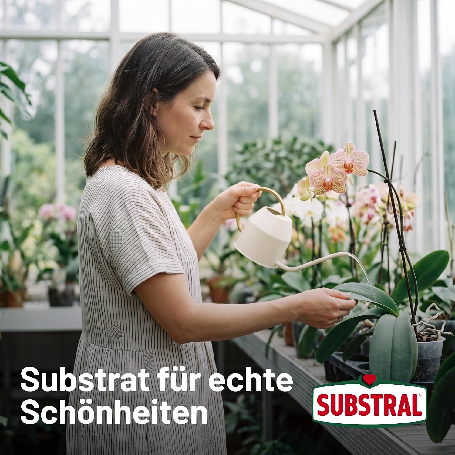 Substral Orchideenerde 6L mit Pinienrinde für Orchideen lockere Struktur — Ansicht 6