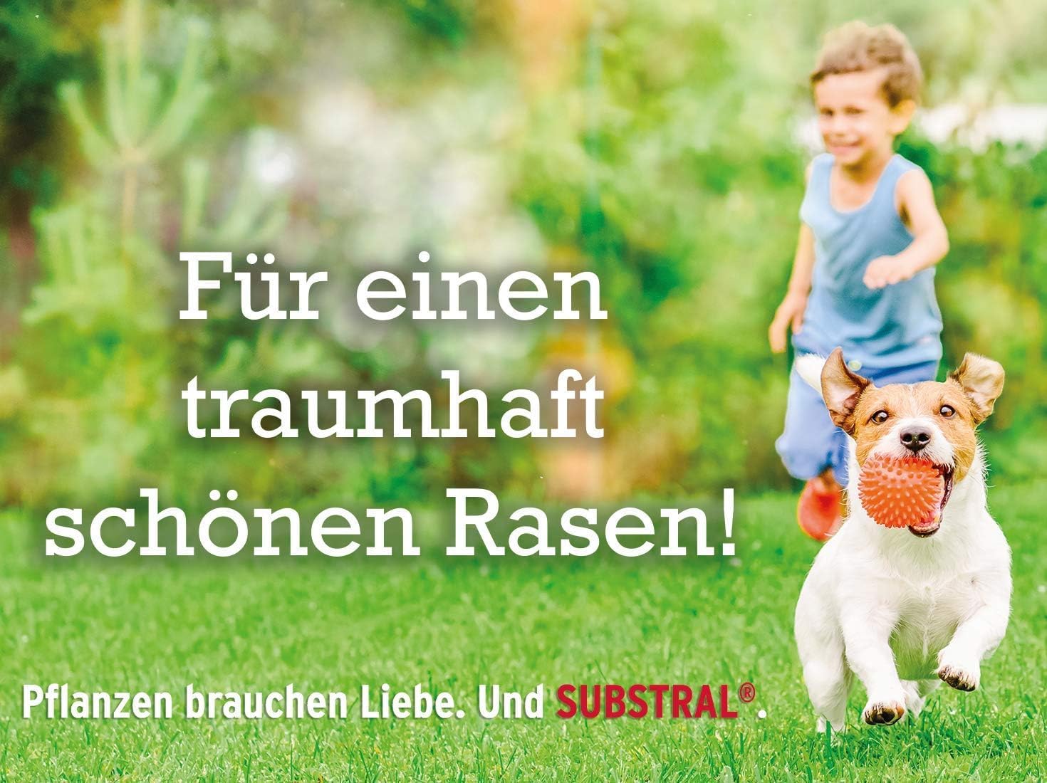 Substral Rasensamen Der Robuste Sport - und Spielrasen Einzigartige Strapazierrasen - Mischung 1kg für 50 m2 — Ansicht 3