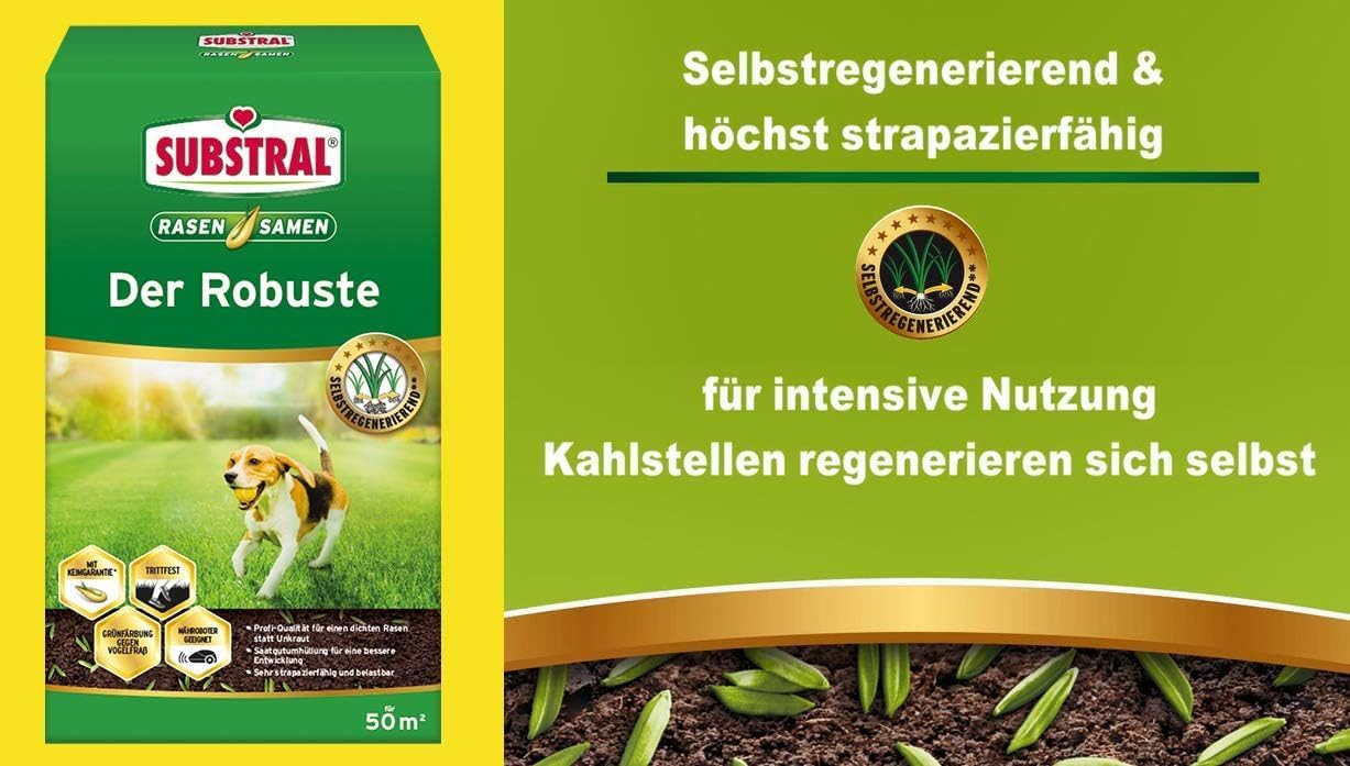 Substral Rasensamen Der Robuste Sport - und Spielrasen Einzigartige Strapazierrasen - Mischung 1kg für 50 m2 — Ansicht 5