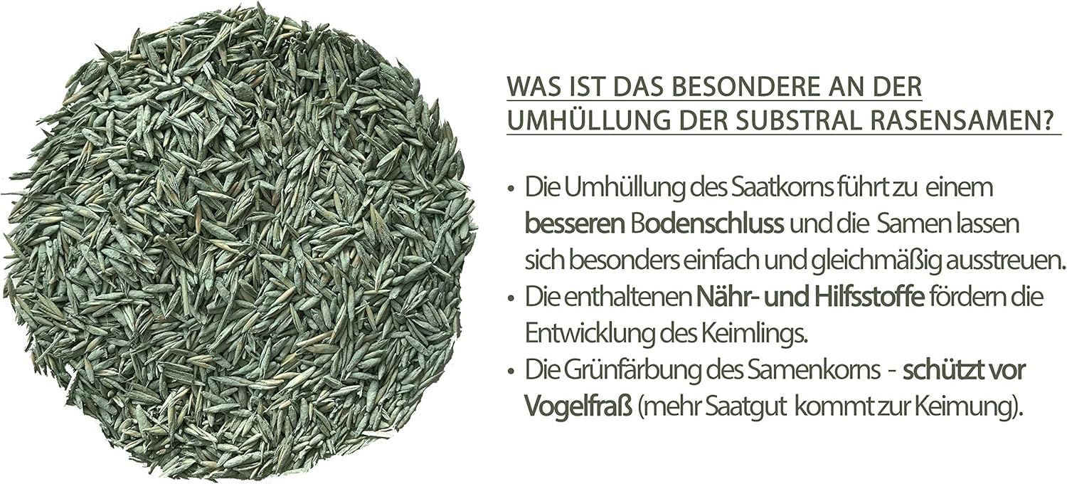 Substral Rasensamen Der Schattige Schattenrasen Premium Rasensamen für schattige Stellen 2kg für 100 m2 — Ansicht 4