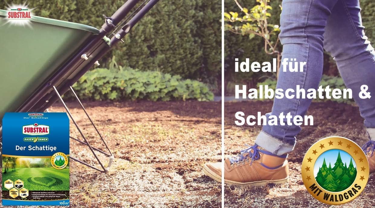 Substral Rasensamen Der Schattige Schattenrasen Premium Rasensamen für schattige Stellen 2kg für 100 m2 — Ansicht 5