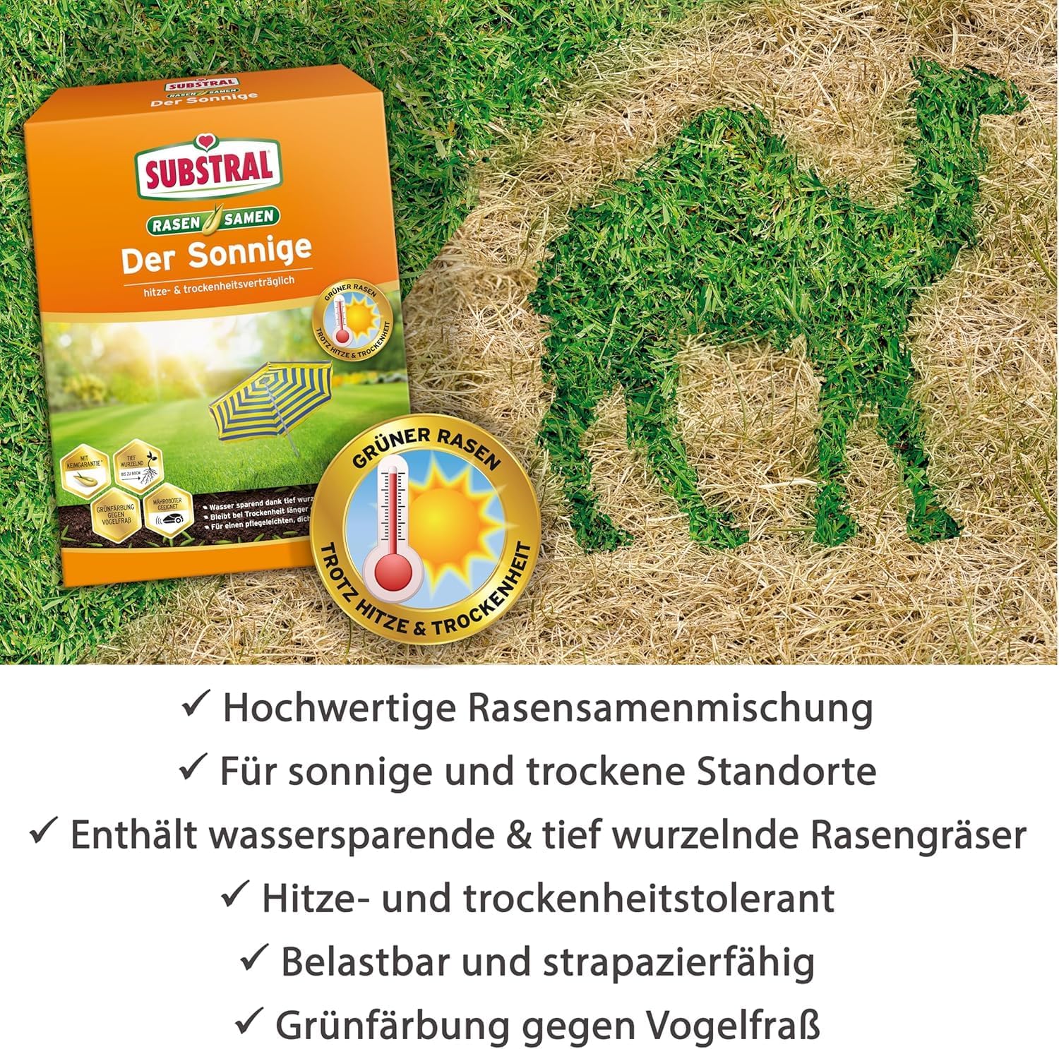 Substral Rasensamen Der Sonnige Trockenrasen Rasensamenmischung für sonnige und trockene Standorte 2,25kg | Für sonnige Standorte, Für trockene Standorte — Ansicht 4