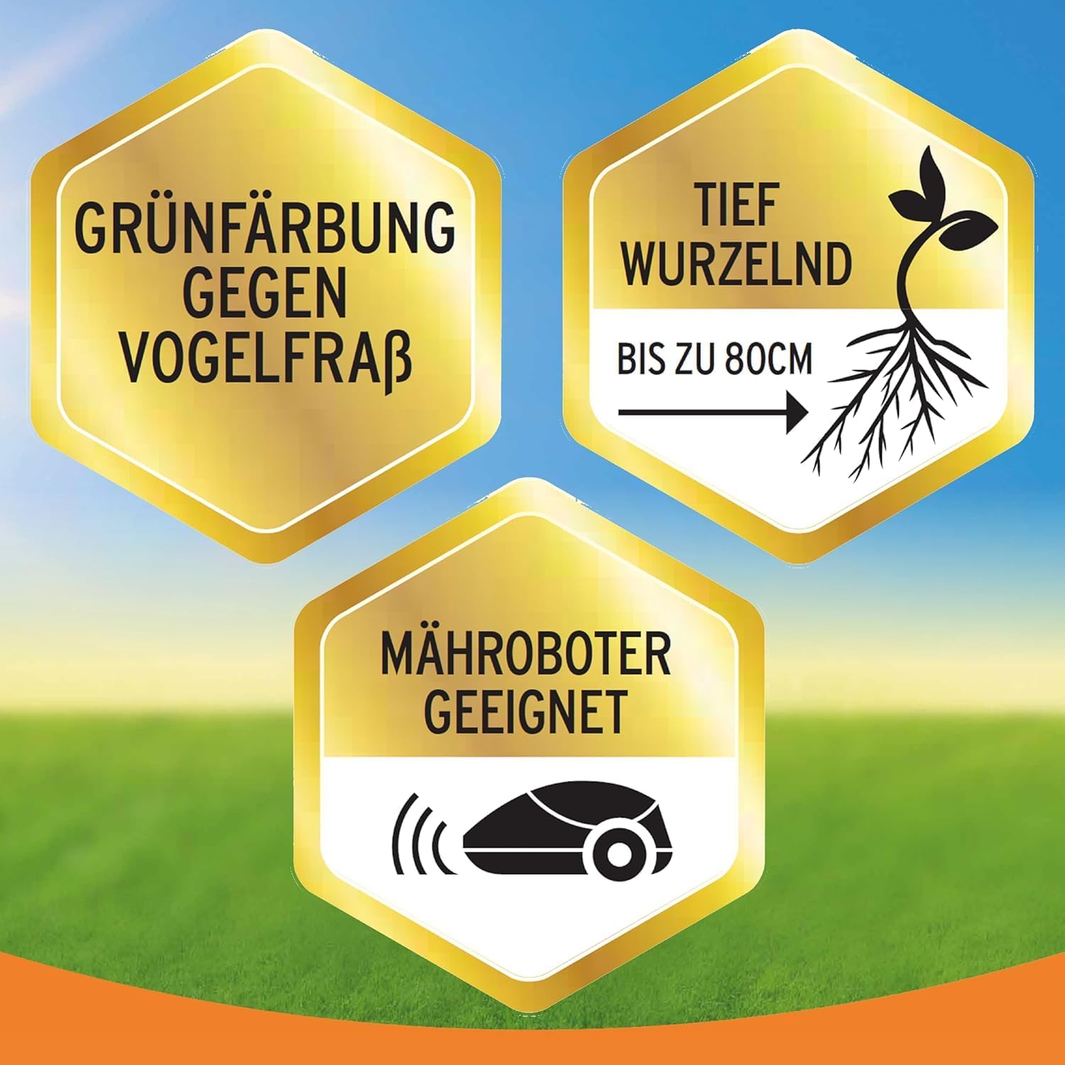 Substral Rasensamen Der Sonnige Trockenrasen Rasensamenmischung für sonnige und trockene Standorte 2,25kg | Für sonnige Standorte, Für trockene Standorte — Ansicht 5