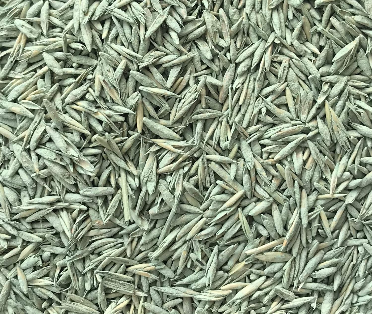 Substral Rasensamen Die Nachsaat, Rasensaat, Schnell keimende strapazierfähige Rasenreparatur-Mischung, 2 kg für 100 m2 — Ansicht 2