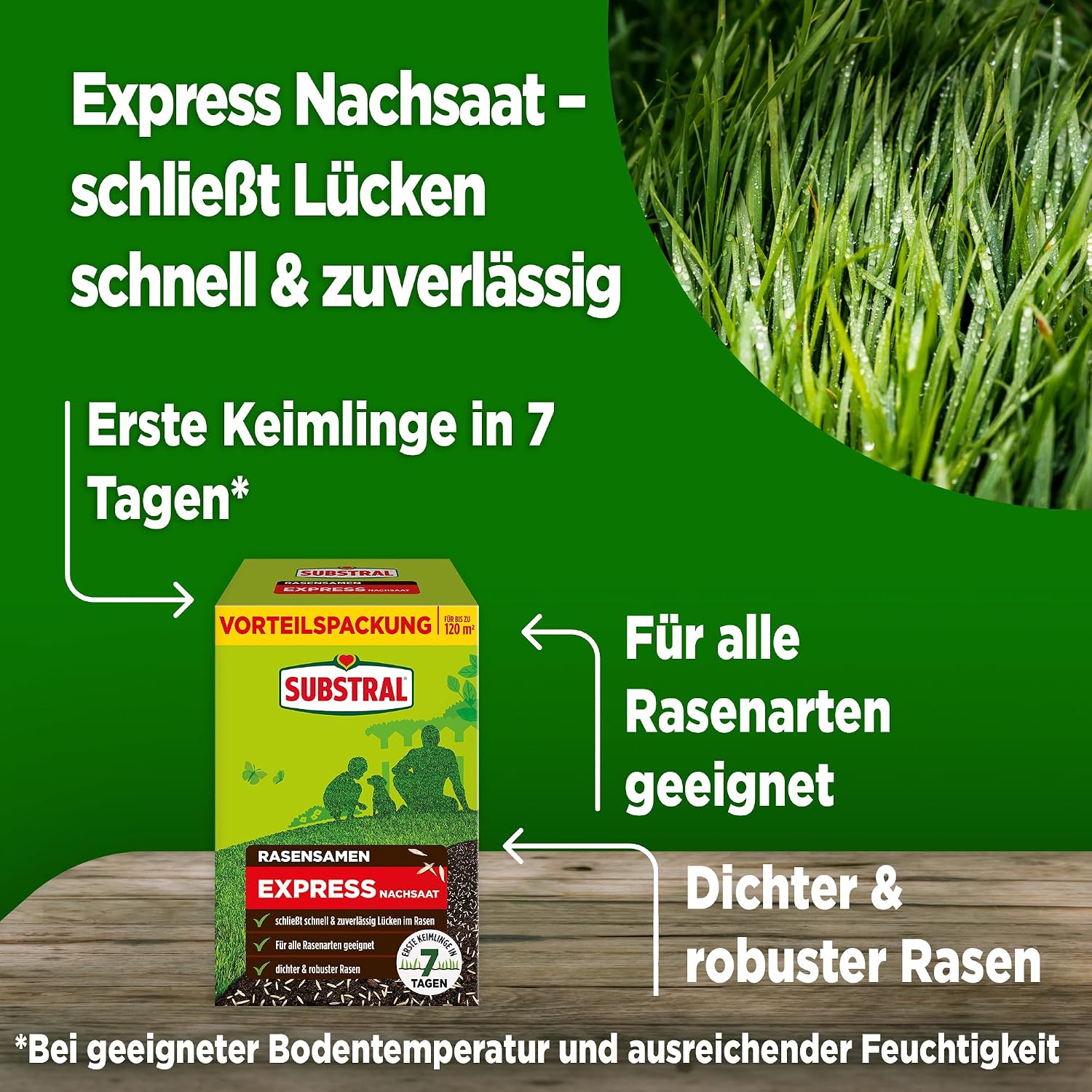 Substral Rasensamen Express Nachsaat 2,4kg Nachsaat für 120 m2 schnell keimend für dichten Rasen & Lückenreparatur — Ansicht 2