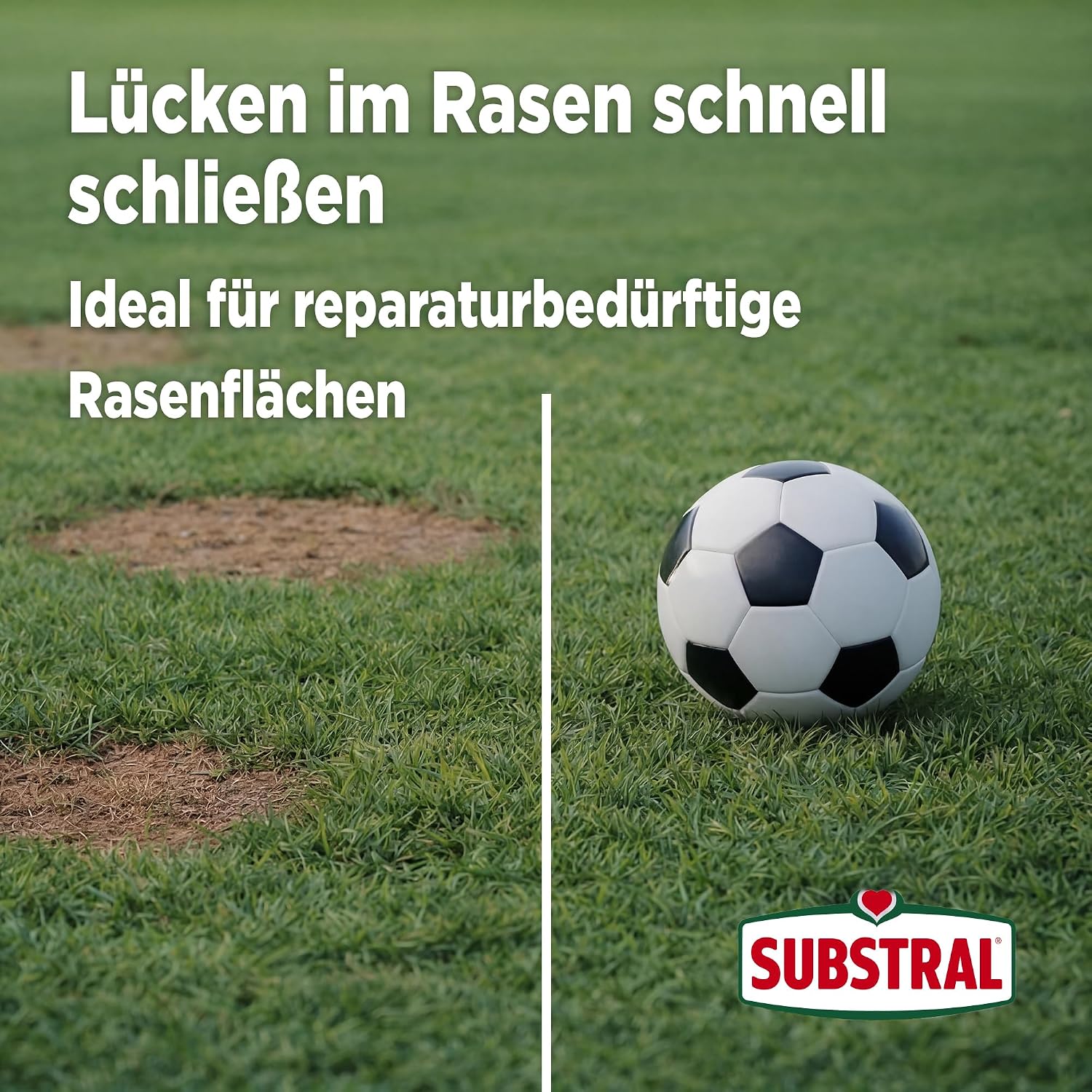 Substral Rasensamen Express Nachsaat 2,4kg Nachsaat für 120 m2 schnell keimend für dichten Rasen & Lückenreparatur — Ansicht 4