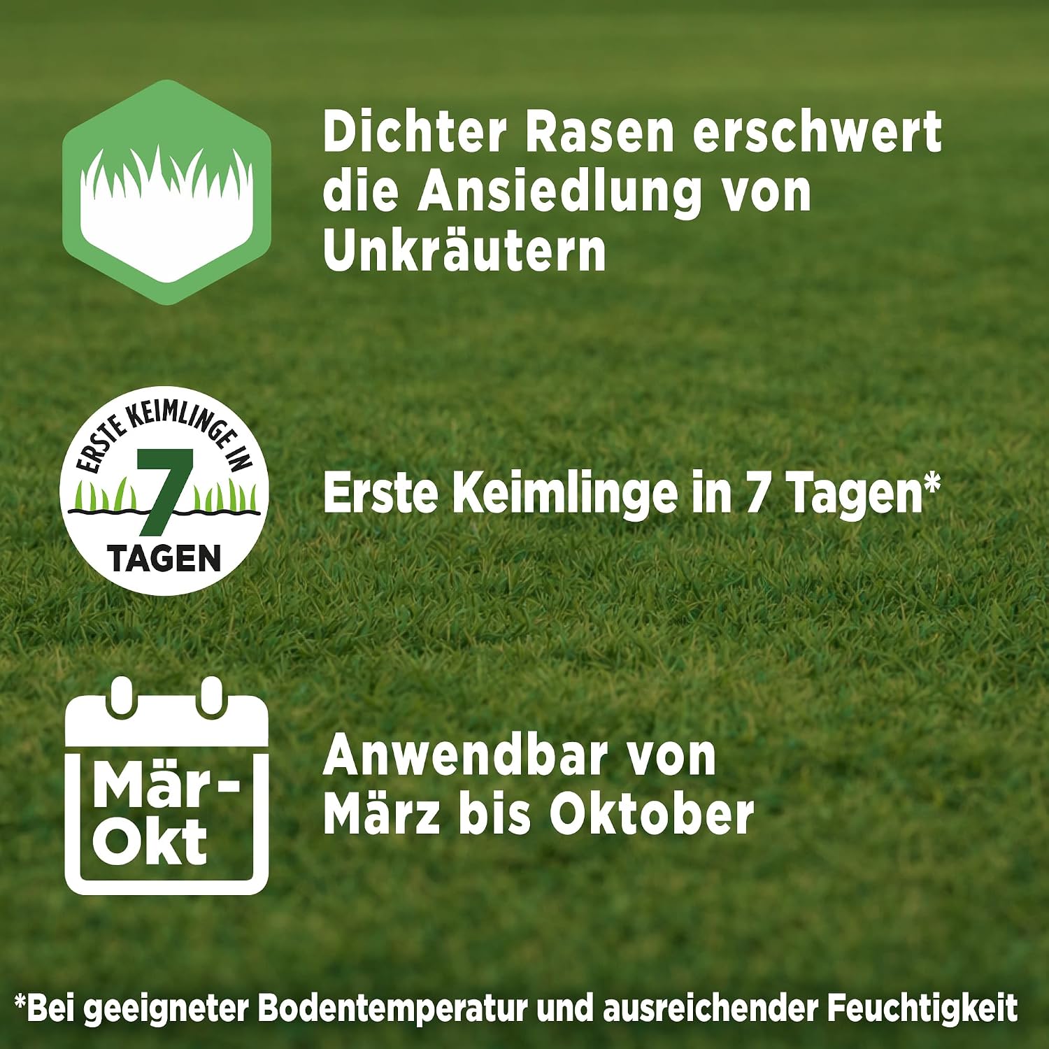 Substral Rasensamen Express Nachsaat 2,4kg Nachsaat für 120 m2 schnell keimend für dichten Rasen & Lückenreparatur — Ansicht 5