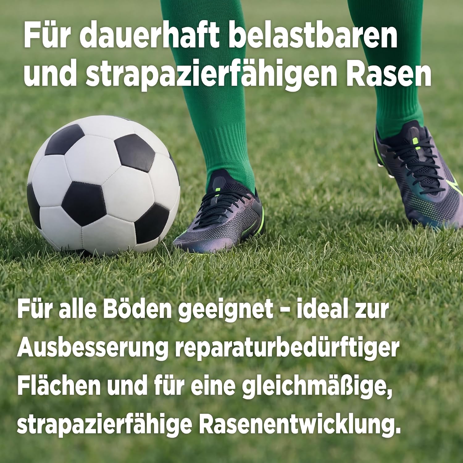 Substral Rasensamen Express Nachsaat 2,4kg Nachsaat für 120 m2 schnell keimend für dichten Rasen & Lückenreparatur — Ansicht 6
