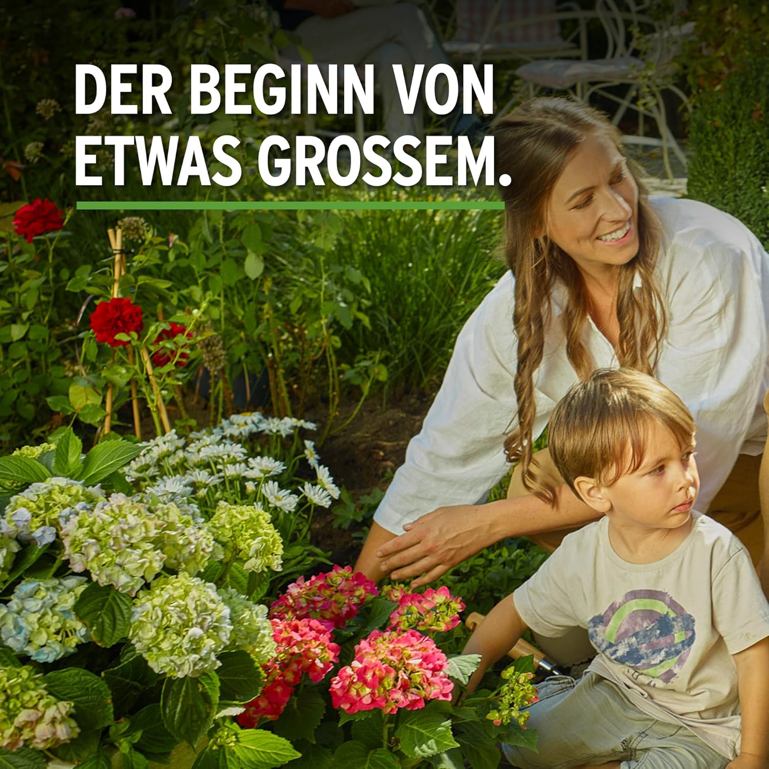 Substral Rhododendron Erde 40L, saure Erde für prachtvolle Rhododendren & Hortensien sowie schmackhafte Heidelbeeren & Preiselbeeren & Co. — Ansicht 4