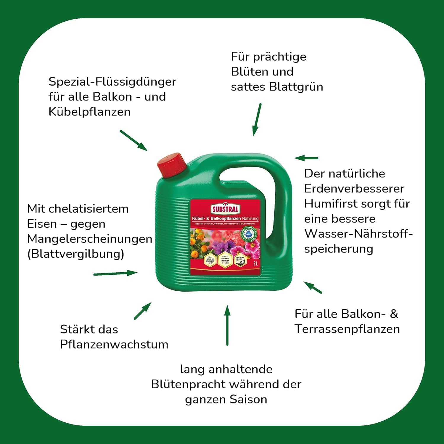 Substral Spezial - Flüssigdünger für Balkon - & Kübelpflanzen 2L Langanhaltende Blütenpracht & Gesundes Wachstum — Ansicht 3