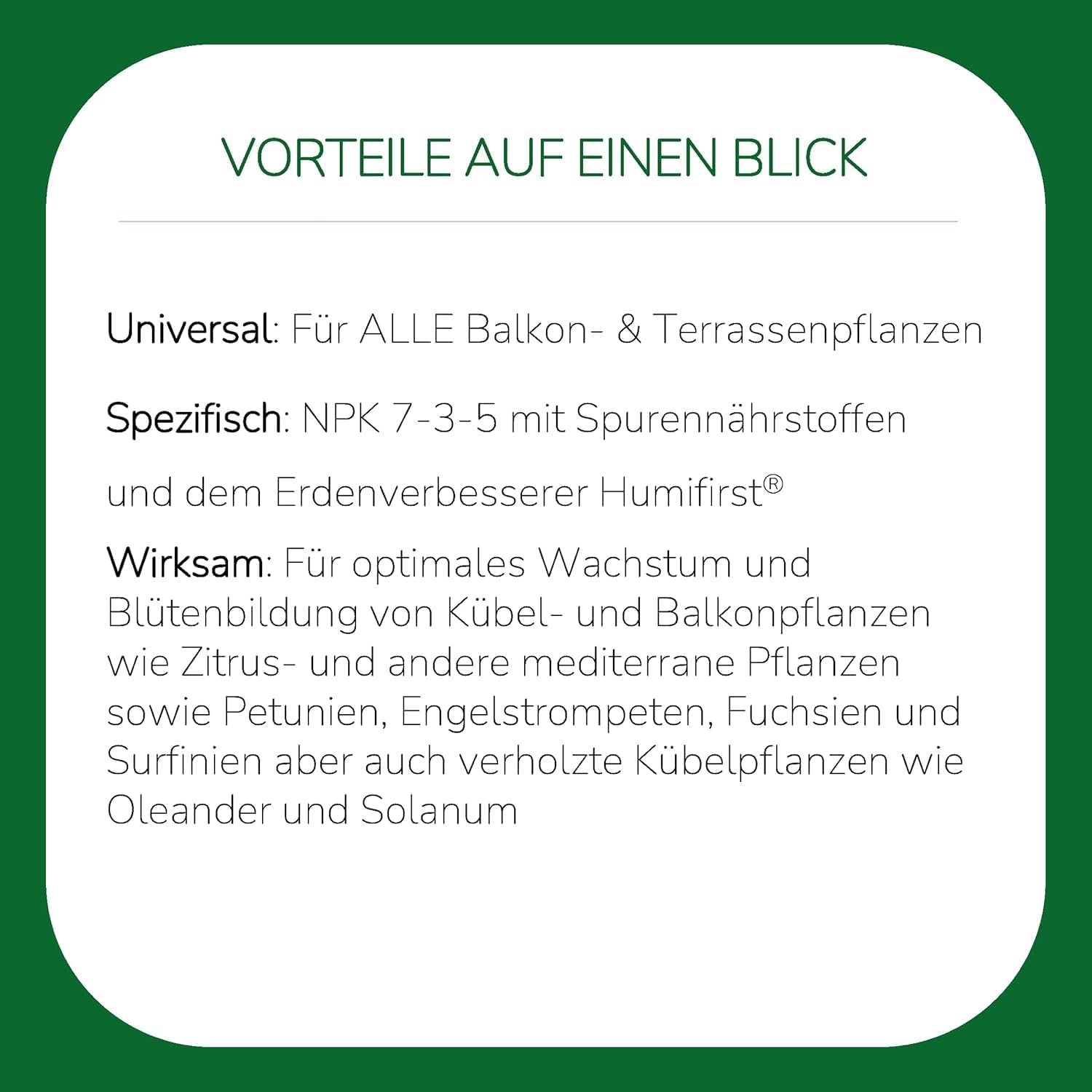 Substral Spezial - Flüssigdünger für Balkon - & Kübelpflanzen 2L Langanhaltende Blütenpracht & Gesundes Wachstum — Ansicht 4