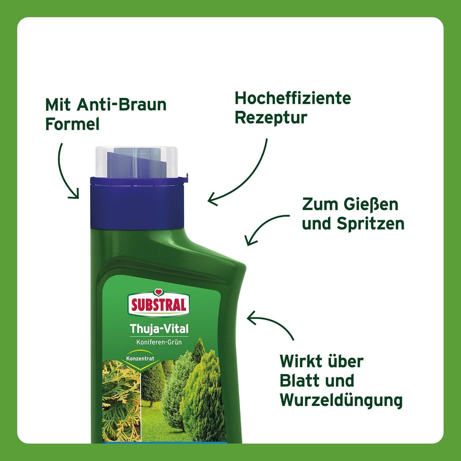Substral Thuja - Vital 500ml Spezial - Dünger zum Spritzen und Gießen für Thujen Zypressen Buchs Kirschlorbeer o.ä. — Ansicht 2