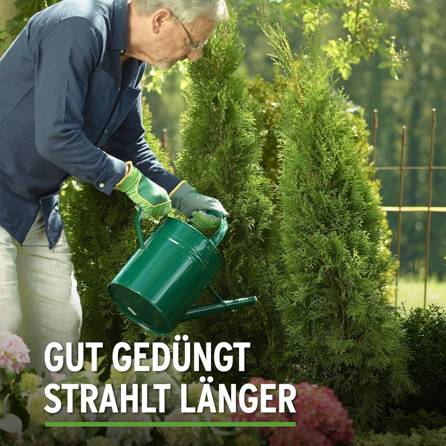 Substral Thuja - Vital 500ml Spezial - Dünger zum Spritzen und Gießen für Thujen Zypressen Buchs Kirschlorbeer o.ä. — Ansicht 3