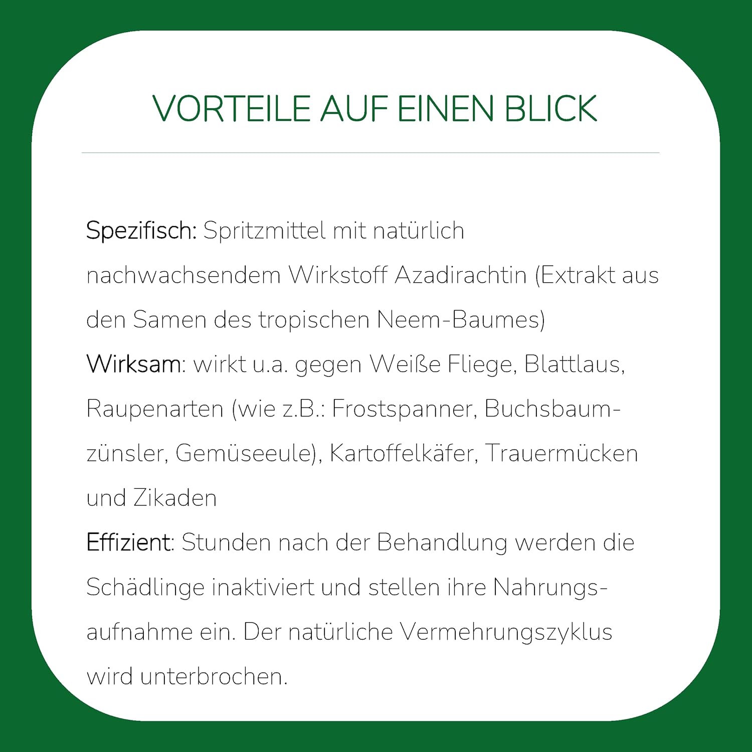 Substral Universal Schädlingsfrei Careo Eco, 80ml Konzentrat - gegen Blattläuse, Weiße Fliege, Buchsbaumzünsler, uvm (Packung mit 2) — Ansicht 5