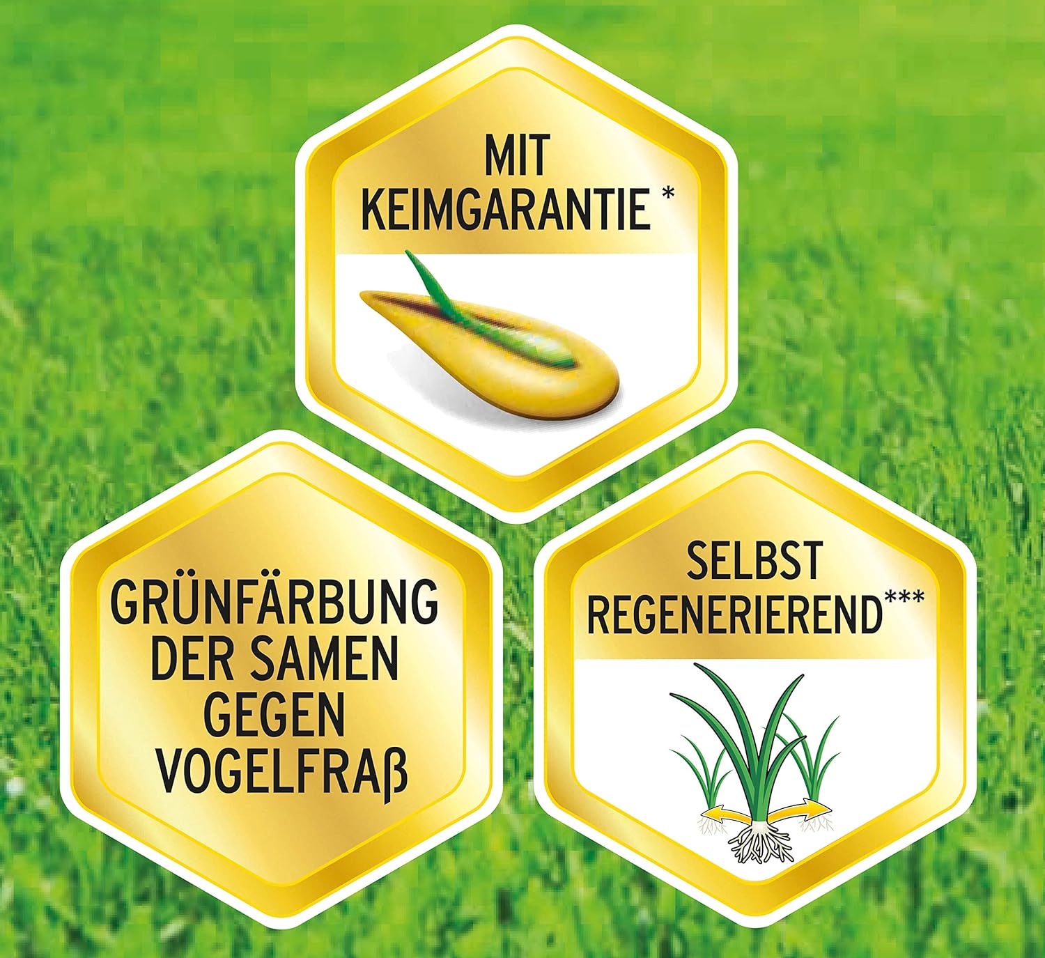 Substral Vertikutiermix für 266 m2 8kg Rasenreparatur - Mischung aus Rasensamen Rasendünger und Bodenaktivator — Ansicht 6